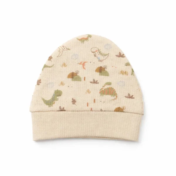 3 Piece Dinosaur Print Waffle Knit Set Two Color Options