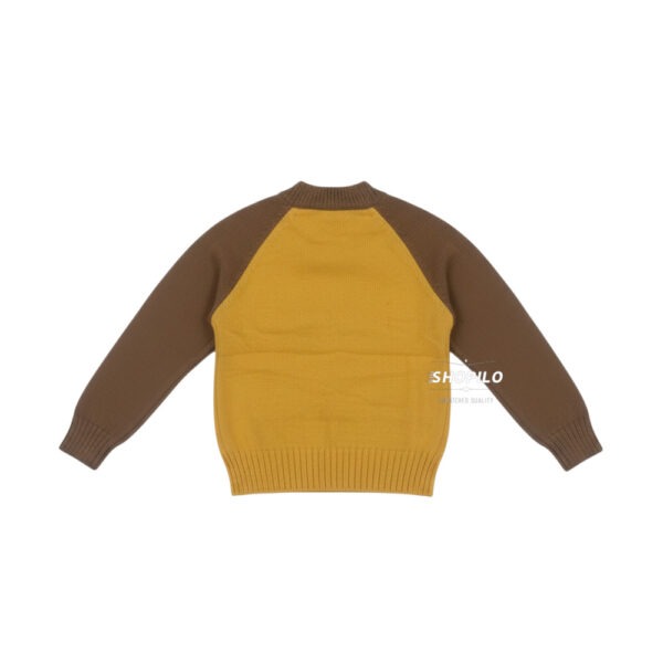 Imported Dino Sweater Suit for Winters Unisex 12M TO 3Y